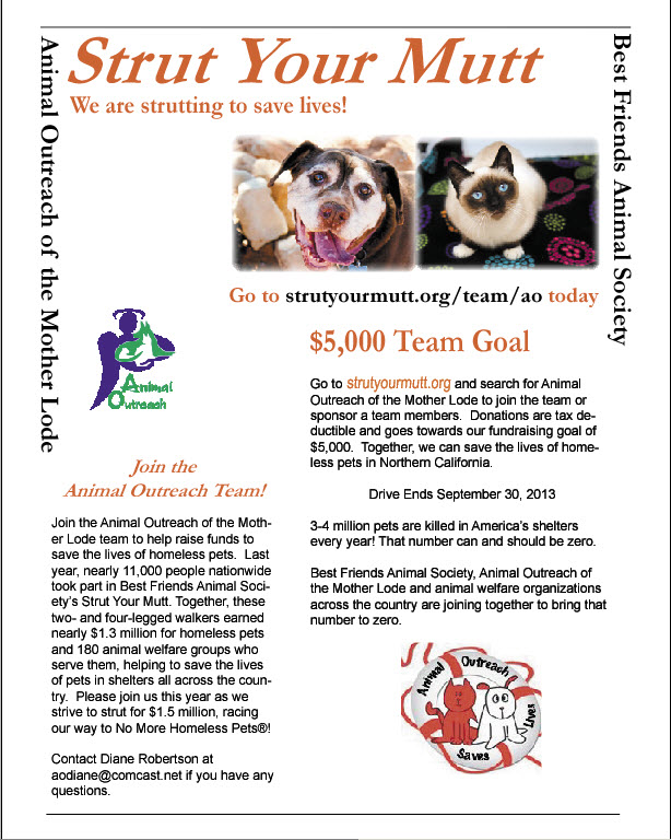 Latest Strut Your Mutt Poster