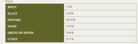 CoachellaDemographics