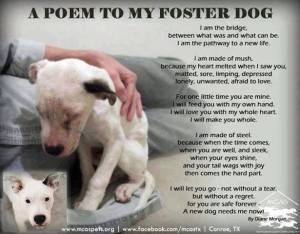 A Poem to My Foster Dog by Diane Morgan