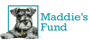 maddiesFund